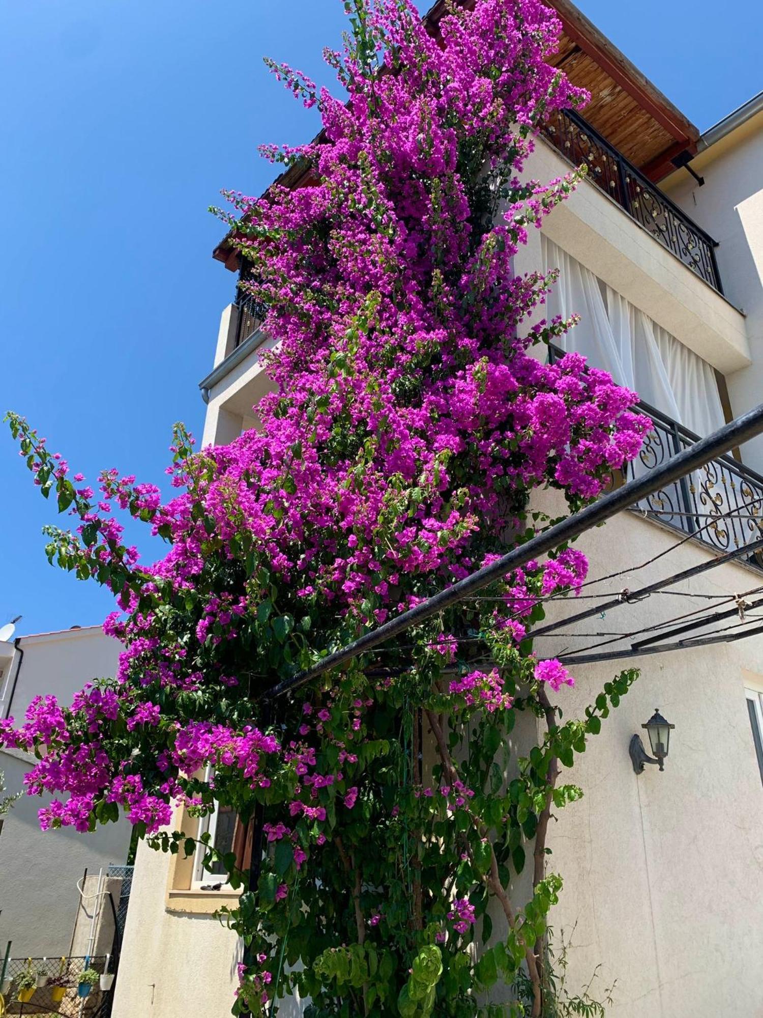Tribalj Perla Alba Apartments מראה חיצוני תמונה